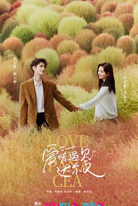 娄底关键词seo优化